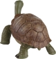 Preview: Wild Safari Wildlife Tierfigur Riesenschildkröte (Giant Tortoise) von Safari Ltd.